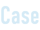 CASE